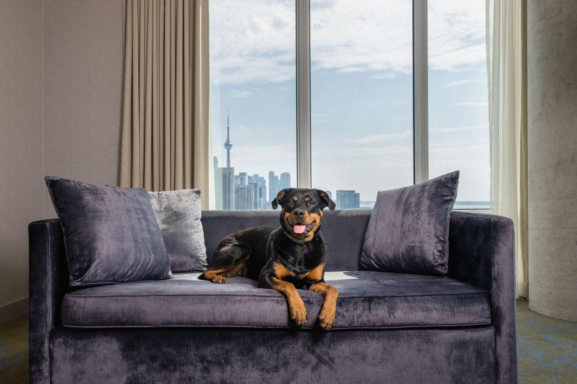 Hotel X Toronto, A Destination By Hyatt Hotel Экстерьер фото